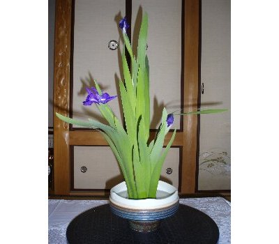 ��������