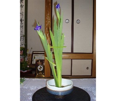 �p�Ԏ��t��