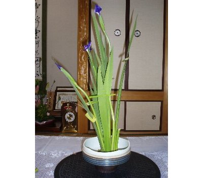 �T���E���Y�����t����